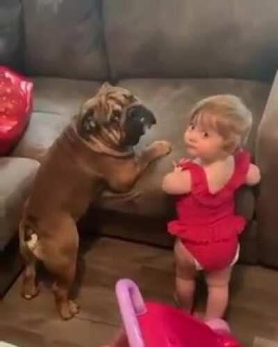 The struggle is real