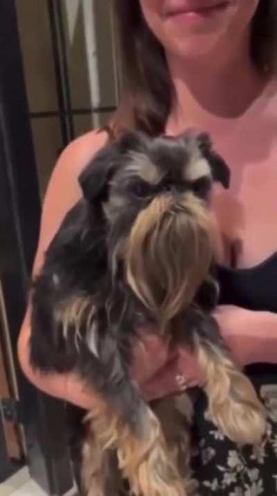 Let me tell ye a story