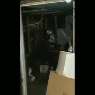 It's dec1 (in my time) yippe