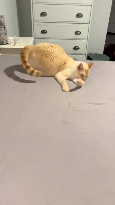 He's gathering his thoughts