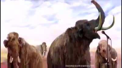 Expectations Subverted