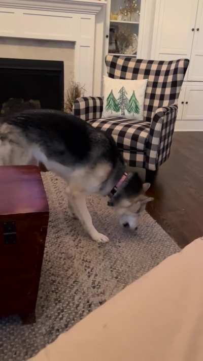 Someone swiped a fresh baked chicken strip off my dinner plate