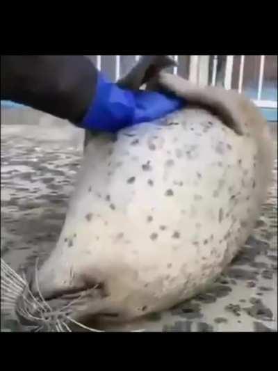 I don’t know what to title this