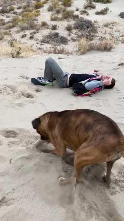 I attempted to get my dog excited so he'd run with me.