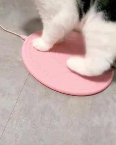 Becoming the Chosen One