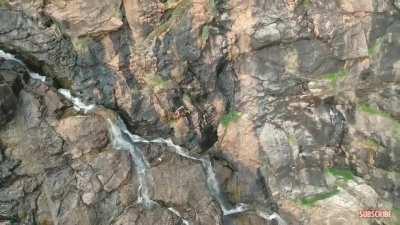 Man slips off a cliff