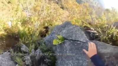 Doomguy goes climbing