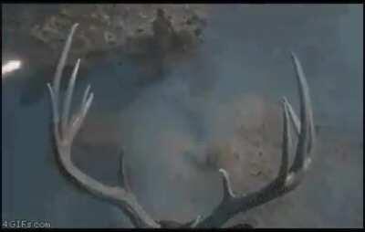 Yak-38 and Harrier in a nutshell