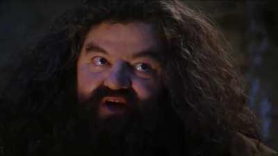 You're a Goblin Junior, Harry