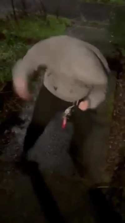 my autistic brother just moshed for the first time when i put on mastodon, he usually hates my music!