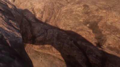 My horse goes through a series of physical and mental conditioning to ensure top performance in battle