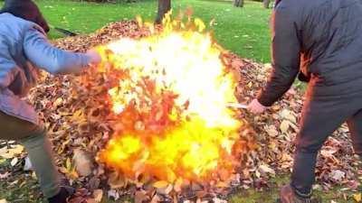 Burning leaves with gasoline WCGW?