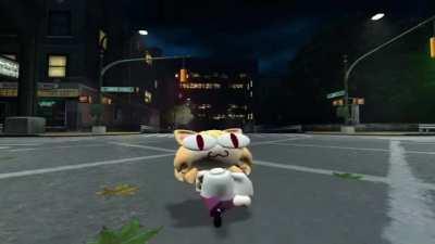 The silly cat doing the silly dance 