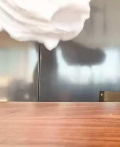 Alexandra Daddario just loves teasing us