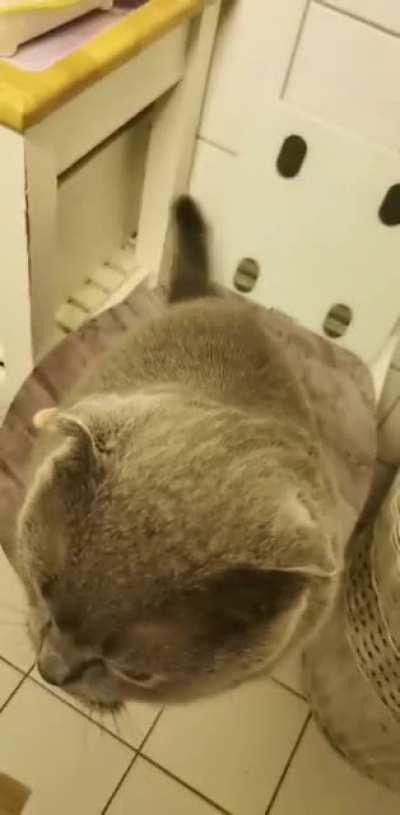 Tried to get a third trill out of him but he was done with my shit