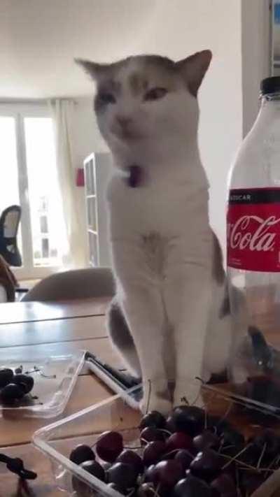 The correct way of using cherries