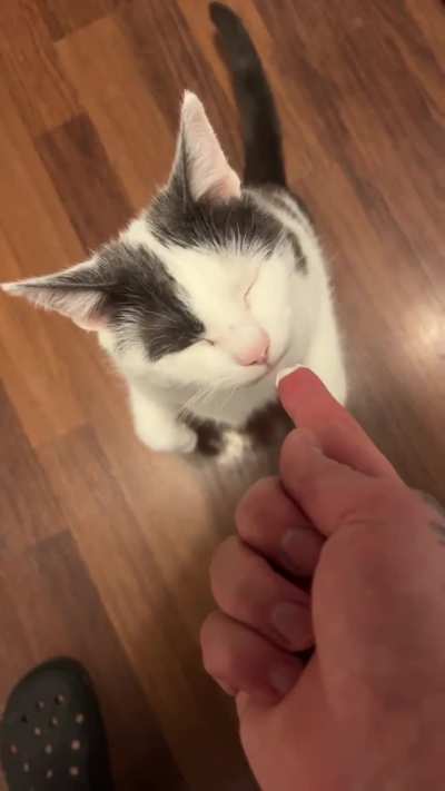 i call this the fartle/shartle