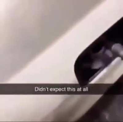 What was he expecting to happen?