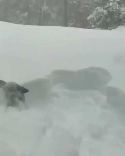 Finally! Some nice weather!