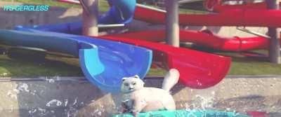 Tracer & Brigitte at Water Park (its-gergless)