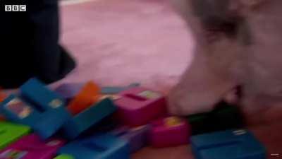 Holy shit. How can carnists even live with themselves