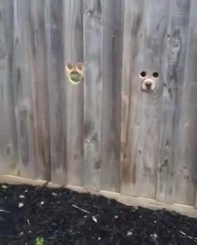 This is funny and weird on so many levels...