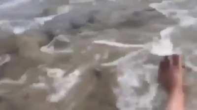 nopenopenopenopenopenopenope