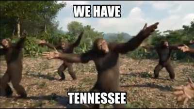 The only public Random Chimp Event bunker in the United States is located in Tennessee, just intercepted this message from the the Eastern Atlantic Chimp Forces. We’re truly fucked.