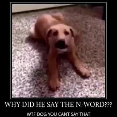 dog says pewdiepie word