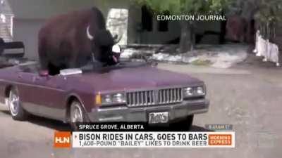 This is how I like to imagine Ave now