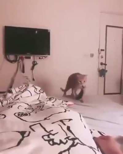 ʰᵉʳᵉ ᵃ ᵍⁱᶠᵗ ˡᵘᵛ ʸᵃ ᵇʸᵉ