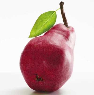 Dreamt I found this video tilted 