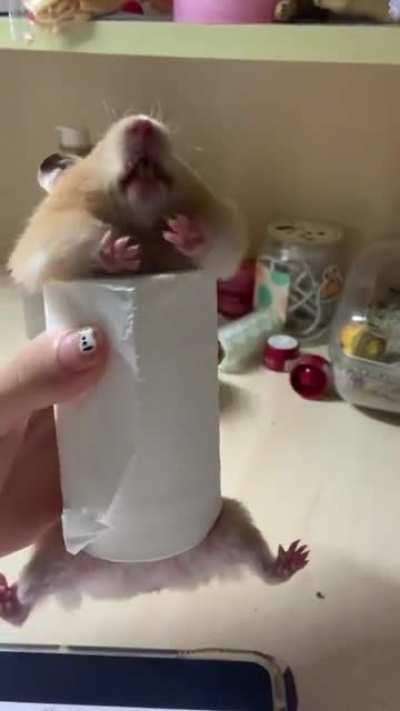 [oc] goooo... goooooo