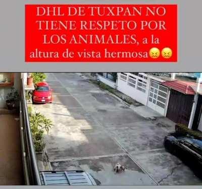 En Tuxpan, Veracruz. Porfavor haganlos pagar, no se que mÃ¡s hacer.
