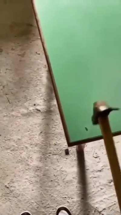 brasil - Video #4867