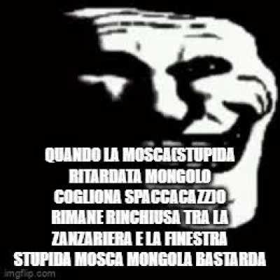 stupida ritardata mongola cogliona