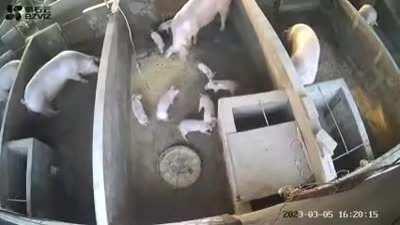 Be gone with you!...