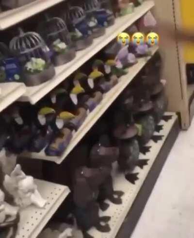 Aardvark 🥳😛🥱😹