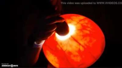 The biggest glow tits