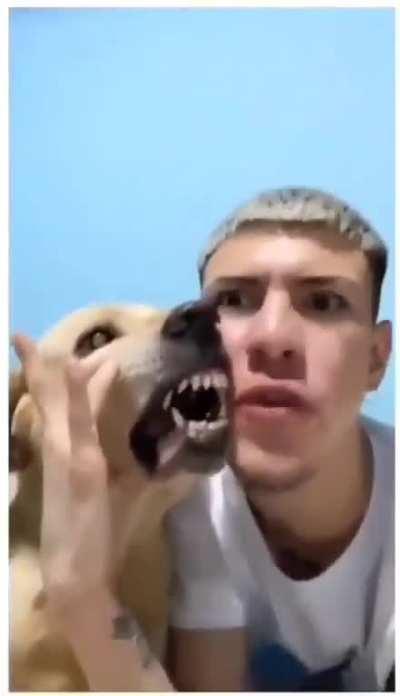 when the dog bites them, they cry, say that it is aggressive, etc.