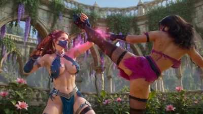 Would you play this version of Mortal Kombat? (Mileena vs Kitana)