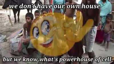 Everything I learnt in school