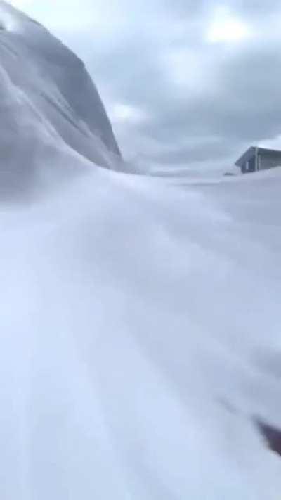 Seagull tries snacking fish out of woman's mouth