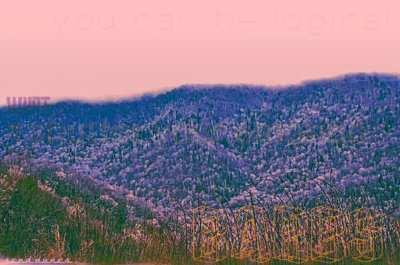 All it takes is a will of the real