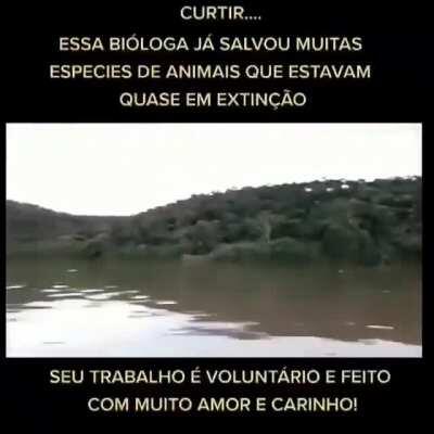 BIOLOGIA É TUDO