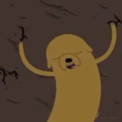 Can jake put his balls in your jaws