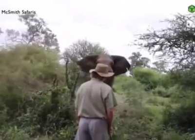 тут нужны стальные яйца