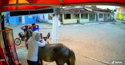 They really came on a horse to do and armed robbery