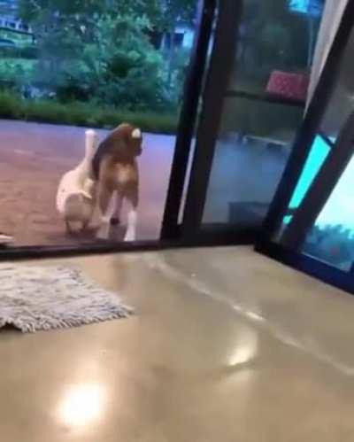 the start of a long pure friendship