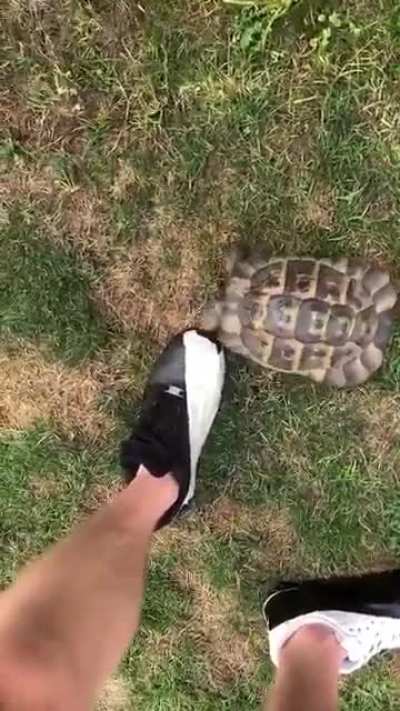 Can you explain this